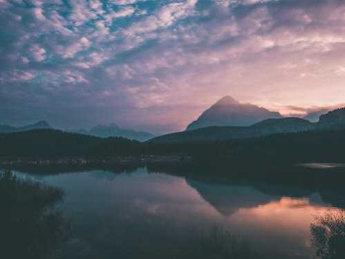 NBA塔图姆轰43分大三元屠公牛比肩哈登神纪录成史上第二人