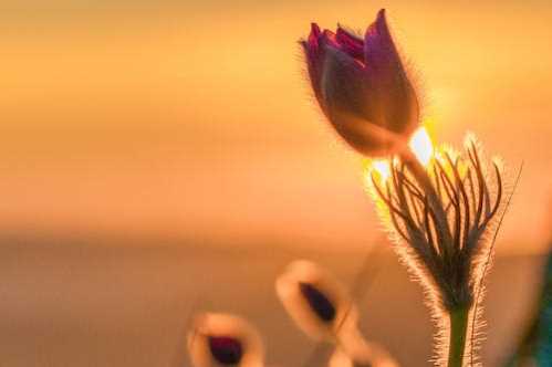 勇士队录像 NBA常规赛 对战vs凯尔特人队回放 2026年03月19日 比赛视频完整直播回看