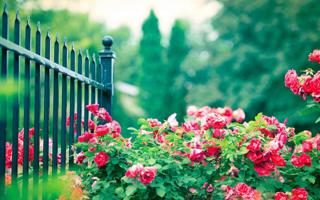 山西队录像 CBA常规赛 对战vs吉林队回放 2026年03月11日 19:35比赛视频完整直播回看