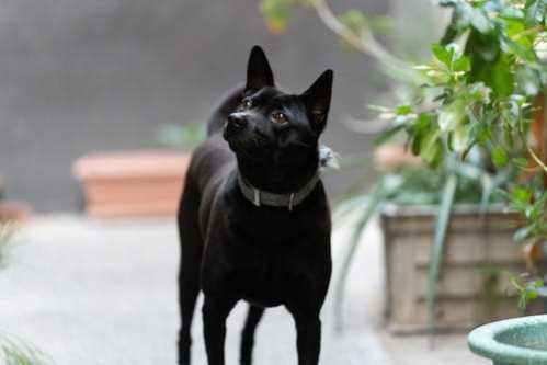 赫塔费队录像 西甲第4轮 对战vs贝蒂斯队回放 2020年09月30日 03:30比赛视频完整直播回看