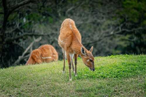 江俊队录像 斯诺克威尔士公开赛资格赛 对战vs努斯勒队回放 2026年01月10日 08:13:04比赛视频完整直播回看