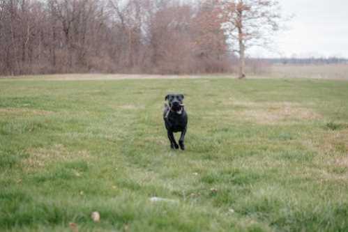 巴拉多利德队录像 西甲第3轮 对战vs塞尔塔队回放 2020年09月28日 00:30比赛视频完整直播回看