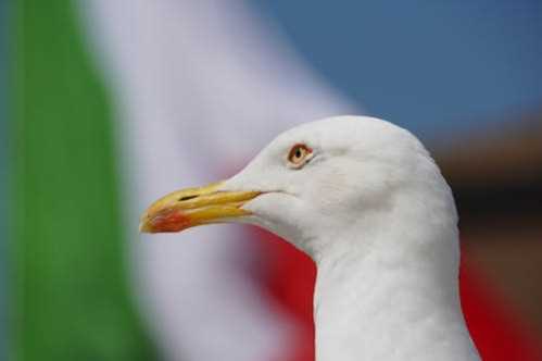 福建队录像 CBA常规赛 对战vs宁波队回放 2026年03月14日 19:35比赛视频完整直播回看