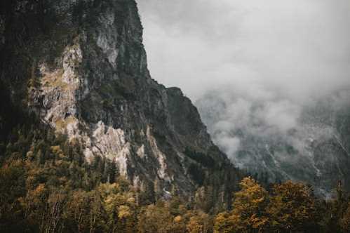 火箭队录像 NBA常规赛 对战vs掘金队回放 2026年03月12日 比赛视频完整直播回看