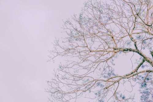 吴宜泽队录像 斯诺克威尔士公开赛第1轮 对战vs米尔滕斯队回放 2026年02月24日 11:26:42比赛视频完整直播回看