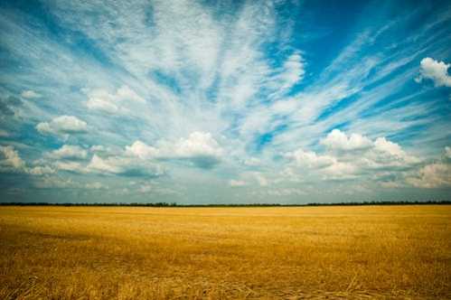 NBA最会打耶诞大战的男人！詹姆斯胜场、得分都是史上第1