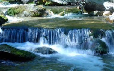 安洗莹队录像 全英羽毛球公开赛女单决赛 对战vs王祉怡队回放 2026年03月08日 比赛视频完整直播回看