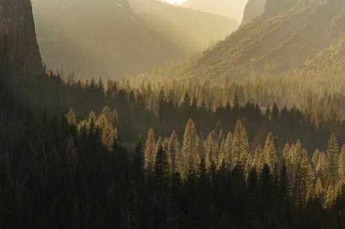 森林狼队录像 NBA常规赛 对战vs快船队回放 2026年03月12日 比赛视频完整直播回看