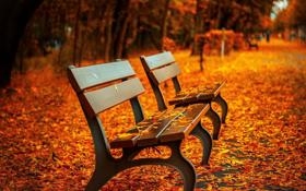 NBA看好勇士成新赛季黑马戴维斯：对波杰姆斯基期望很高