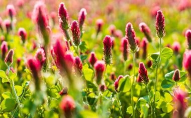 勇士队录像 NBA常规赛 对战vs雷霆队回放 2026年03月08日 比赛视频完整直播回看