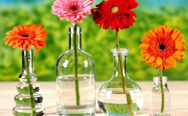 录像 2017年2月24日CBA季后赛1/4决赛1 山东队-新疆 对战vs新疆队回放 未知 比赛视频完整直播回看