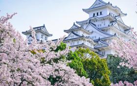 特鲁姆普队录像 斯诺克世界公开赛1/8决赛 对战vs威廉姆斯队回放 2026年03月20日 07:15:42比赛视频完整直播回看